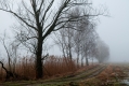018_Biebrza - kwiecien 2011